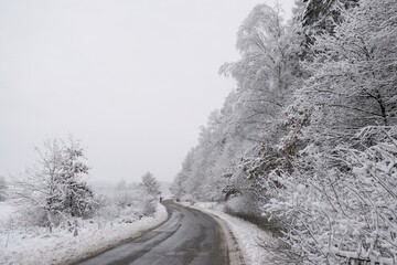 Winding asphalt road between snow-covered trees and fields in winter misty scenery. 