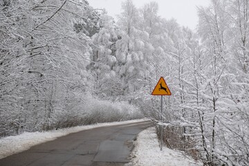 Road sign warning against forest animals by winding asphalt road between snow-covered trees in misty scenery. Przywidz, Kashubia, Poland