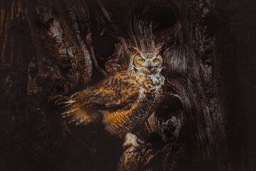 quaint spirits by the old oak