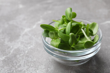 Fresh organic microgreen in bowl on grey table, closeup. Space for text