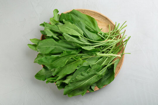 Fresh green sorrel leaves on light grey table, top view