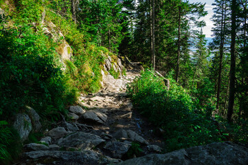 Fototapeta na wymiar Droga w górach Tatrach (Słowacja)