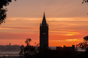 UC Berkeley Landscape Backlit at Sunset