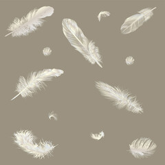 twelve light brown feathers