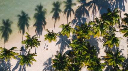 Fototapeta na wymiar Shadows from palm trees and people on the beach. Aerial view