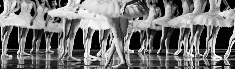 Swan Lake ballet.