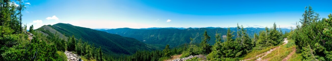 beautiful panorama with alpine pine and mountains under blue sky