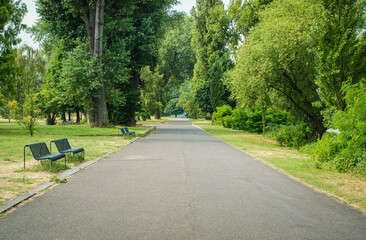 Fototapeta na wymiar Asphalted path through a deserted public park.
