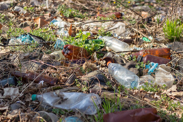 primroses snowdrops bloom in early spring in the sun under debris and plastic. Ecology. Environmental pollution.