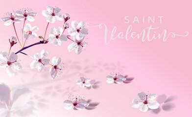 carte ou bandeau sur la Saint Valentin en blanc avec une branche de fleurs blanche sur un fond rose