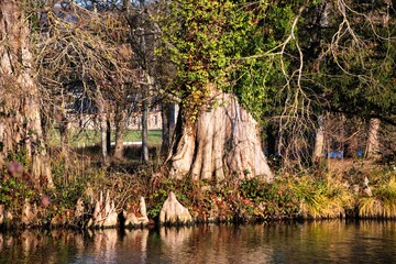 Bords de l'eau 