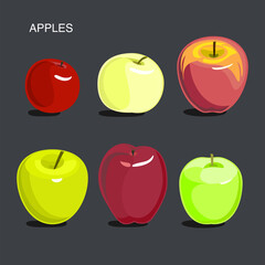 Set of apples. Vector fruits. Design elements.