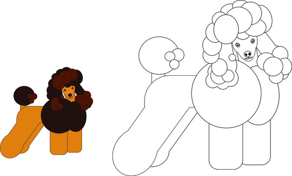Cute Cartoon Poodle Dog Coloring Book. A coloring book or a cartoon page about a funny dog for kids. Cute colorful animal as an example for coloring. Vector illustration isolated on a white background