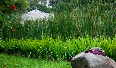 garden in the garden