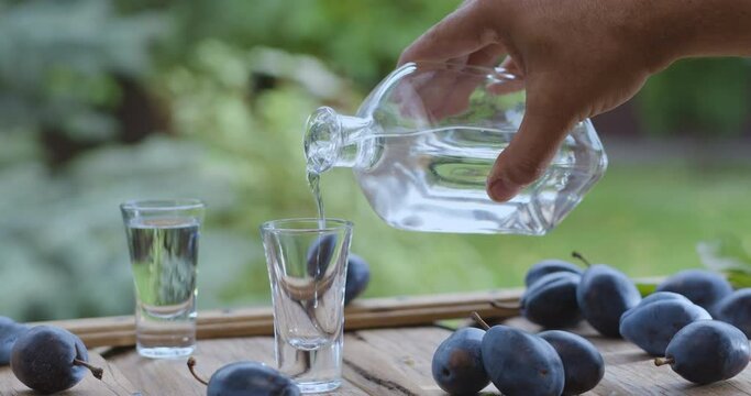 Pouring plum slivovice (slivovitz) vodka into glasses. Ripe plums lie around. The video filming location is a rural outdoor table with summer blur bokeh nature.