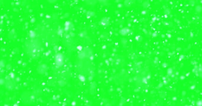 Falling natural snow flakes isolated on a green screen background.