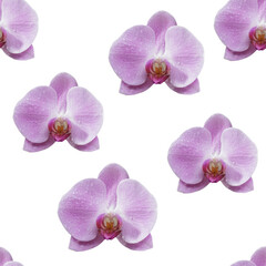 Fototapeta na wymiar Seamless floral pattern with orchid flowers