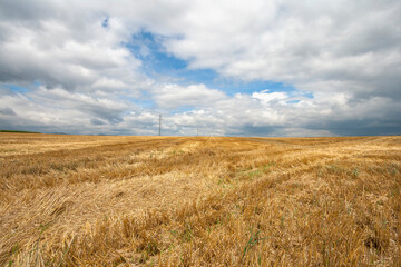 Stoppelfeld, Wolkenhimmel