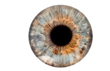 Möbelaufkleber eye isolated on white © Lorant