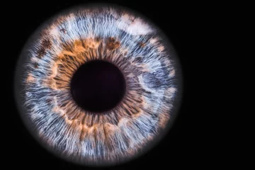 Fotobehang blauw oog © Lorant