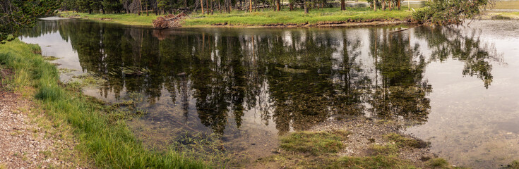 Panorama shot of trees reflection in water in yellowstone national park in america