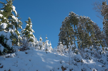 Schwarzwald, Neuenweg 