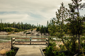 Fototapeta na wymiar Wooden view on sour lake in yellowstone national park at sunny day in america