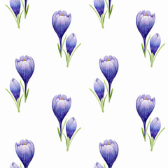 Hand painted watercolor seamless pattern Crocuses