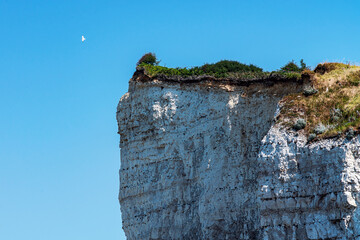 Cliff coast in the area of Dieppe, Normandy, France