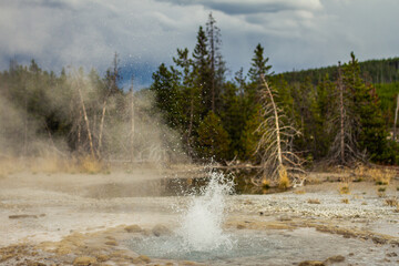 Close up of active gayser and splashing water from gaysr in yellowstone national park in america