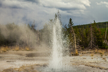 Close up of active gayser and splashing water from gaysr in yellowstone national park in america