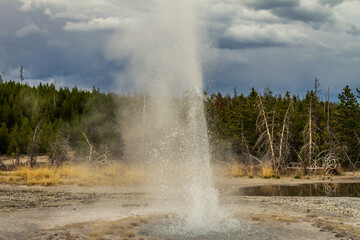 Close up of active gayser and splashing water from gaysr in yellowstone national park in america