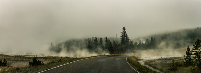 Panorama shot of road in fog to forest in yellowstone national park in america