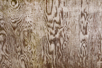old wood texture background