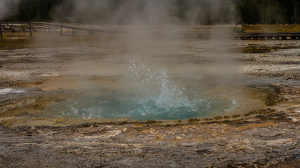 Obraz na płótnie Canvas close up of small hot active gushing gayser in yellowstone national park in america