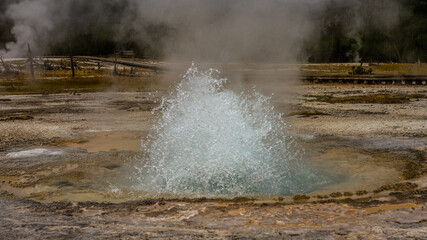 Fototapeta na wymiar close up of small hot active gushing gayser in yellowstone national park in america
