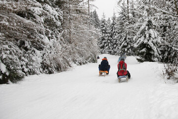 Fototapeta na wymiar People sledging down a snow covered road in a snowy forest on a wooden sleigh.