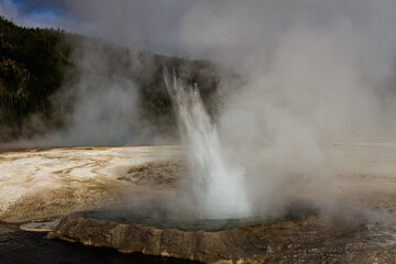 close up of hot blasting water from active gushing gayser in yellowstone national park in america