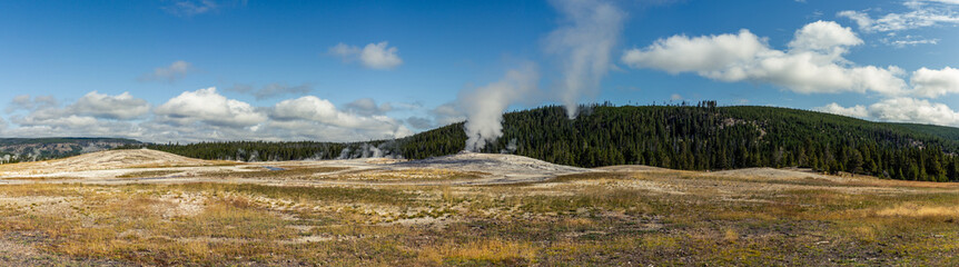 Panorama shot of old faithful geyser in thermal nature of yellowstone national park in america