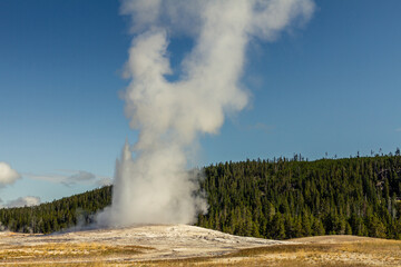 Close up of steaming and gushing old faithful geyser in thermal nature of yellowstone national park in america