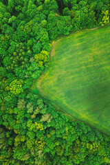 Aerial View Spring Green Field And Forest Landscape. Top View Of Field And Forest Belt. Bird's Eye View