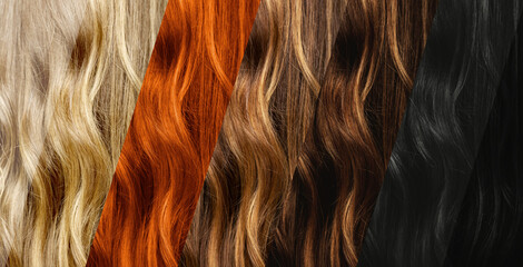 Set of different natural hair color samples.
