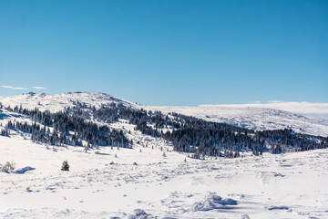 Fototapeta na wymiar Beautiful Winter Mountain Landscape in Bulgaria ,Vitosha Mountain