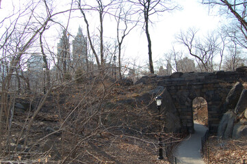 Vista de Central Park, en Manhattan (Nueva York). Estados Unidos de America