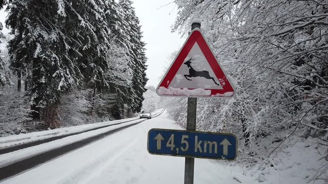 Belgique Wallonie Ardenne paysage hiver neige route gibier chasse animaux