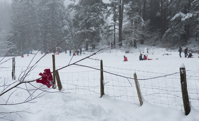 Gloves in the snow with kids playing in the background