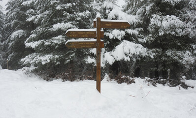Signal in the snow with trees in the background