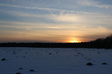 Naklejka premium snow field in front of the forest in winter. sunset