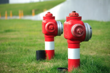 fire hydrant in grass