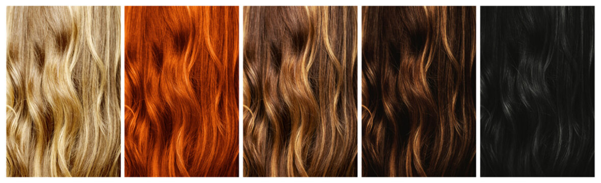 Set Of Different Natural Hair Color Samples.